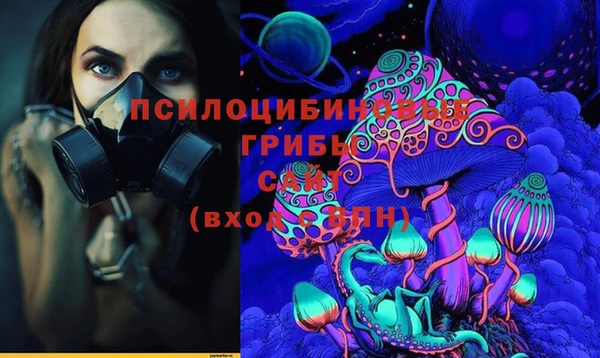 кокаин Белокуриха