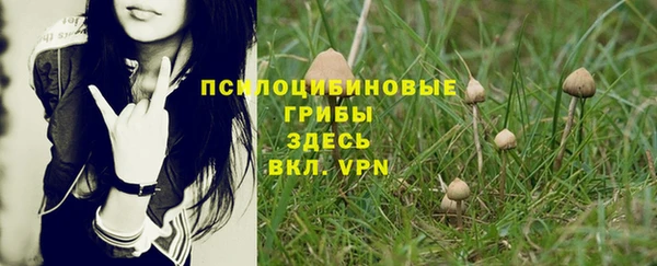 кокаин Белокуриха