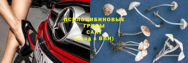 кокаин Белокуриха