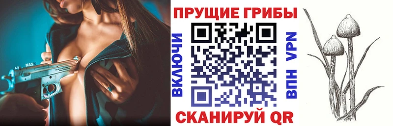 Псилоцибиновые грибы Cubensis Козельск
